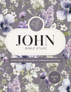 JohnBibleStudy-kjsd7923j-1