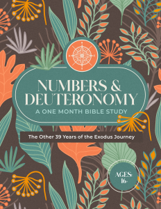 NumbersBIbleStudy-dks8sk3w-1